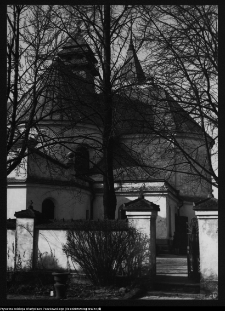 Łapy, kości&oacute;ł