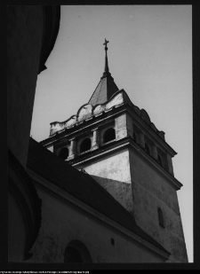 Łapy, kości&oacute;ł