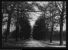 Dowspuda, droga do pałacu