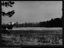 Dowspuda, park pałacowy