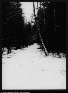 Dowspuda, park pałacowy