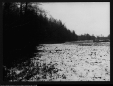 Dowspuda, park pałacowy