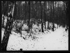 Dowspuda, park pałacowy