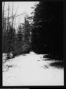 Dowspuda, park pałacowy