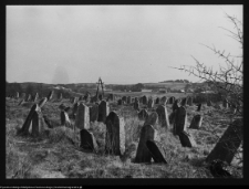 Krynki, cmentarz żydowski