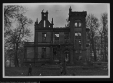 Pobikry, ruiny pałacu