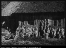 Pomiany, chata wiejska