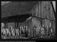 Pomiany, chata wiejska