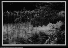 Dybowo, okolice grodziska