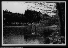 Dybowo, okolice grodziska