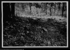 Dybowo, okolice grodziska