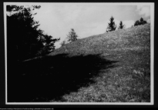 Dybowo, okolice grodziska