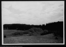 Dybowo, okolice grodziska