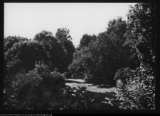 Drozdowo, park dworski