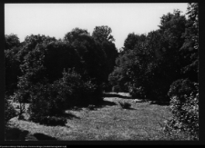 Drozdowo, park dworski