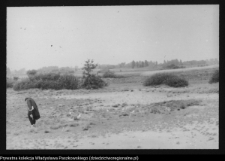 Dziarnowizna, stanowisko archeologiczne (pozostałości dymarek)