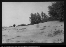 Dziarnowizna, stanowisko archeologiczne (pozostałości dymarek)