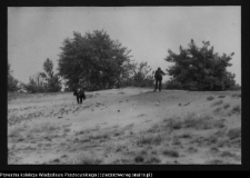 Dziarnowizna, stanowisko archeologiczne (pozostałości dymarek)