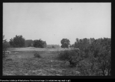 Dziarnowizna, stanowisko archeologiczne (pozostałości dymarek)