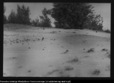 Dziarnowizna, stanowisko archeologiczne (pozostałości dymarek)