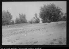 Dziarnowizna, stanowisko archeologiczne (pozostałości dymarek)