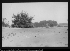 Dziarnowizna, stanowisko archeologiczne (pozostałości dymarek)