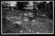 Czarna Wielka, cmentarzysko