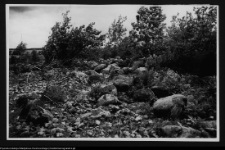 Czarna Wielka, cmentarzysko