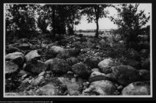 Czarna Wielka, cmentarzysko