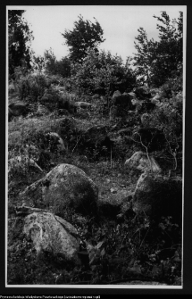 Czarna Wielka, cmentarzysko