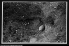 Czarna Wielka, cmentarzysko