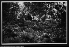 Czarna Wielka, cmentarzysko