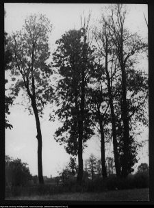 Ciechanowiec-Nowodwory, ogród