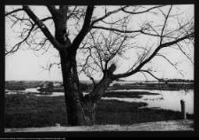 Tykocin, rzeka Narew