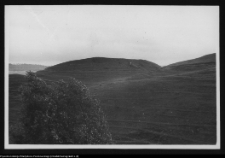 Stara Łomża, grodzisko