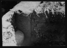 Tykocin, ruiny zamku