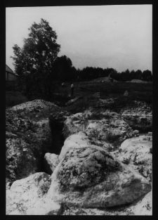 Tykocin, ruiny zamku