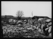 Tykocin, ruiny zamku