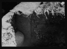 Tykocin, ruiny zamku