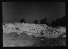 Tykocin, ruiny zamku