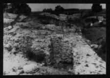 Tykocin, ruiny zamku