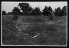 Tykocin, ruiny zamku