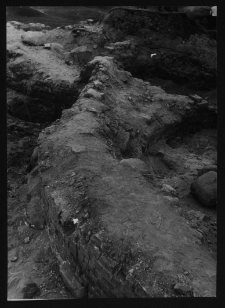 Tykocin, ruiny zamku