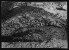 Tykocin, ruiny zamku