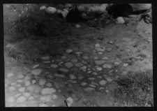 Tykocin, ruiny zamku