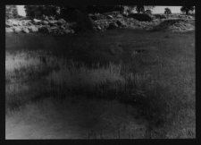 Tykocin, ruiny zamku