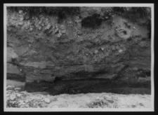 Tykocin, ruiny zamku