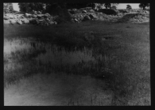 Tykocin, ruiny zamku