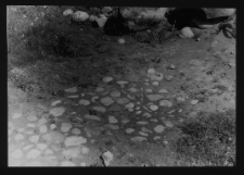 Tykocin, ruiny zamku