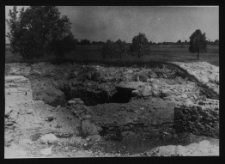 Tykocin, ruiny zamku